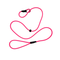 SGS Biothane Slip Lead (6mm)