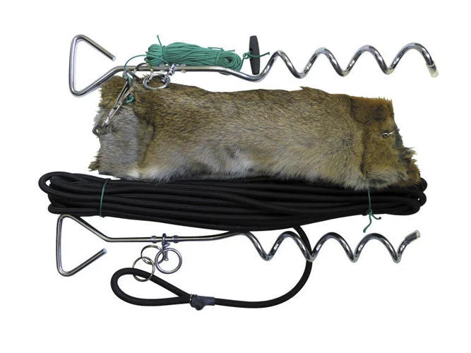 Bolting Rabbit