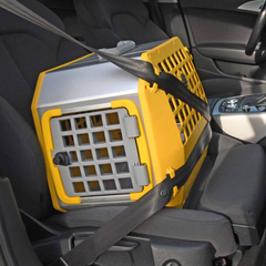 MIMsafe Care2