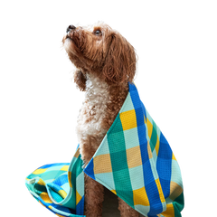 Dog & Bay Towel - Puppy Plaid