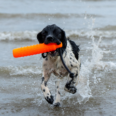 Sporting Saint Water Dummy