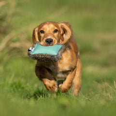 Sporting Saint Rabbit Half-Fur Puppy Dummy