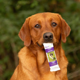 PureFlax Energy Bars