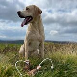 Dog & Field Grouse Ball