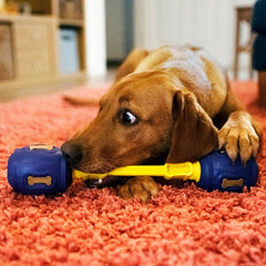 K9 Connectable Puzzle Treats