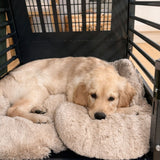 MIMsafe VarioCage Single