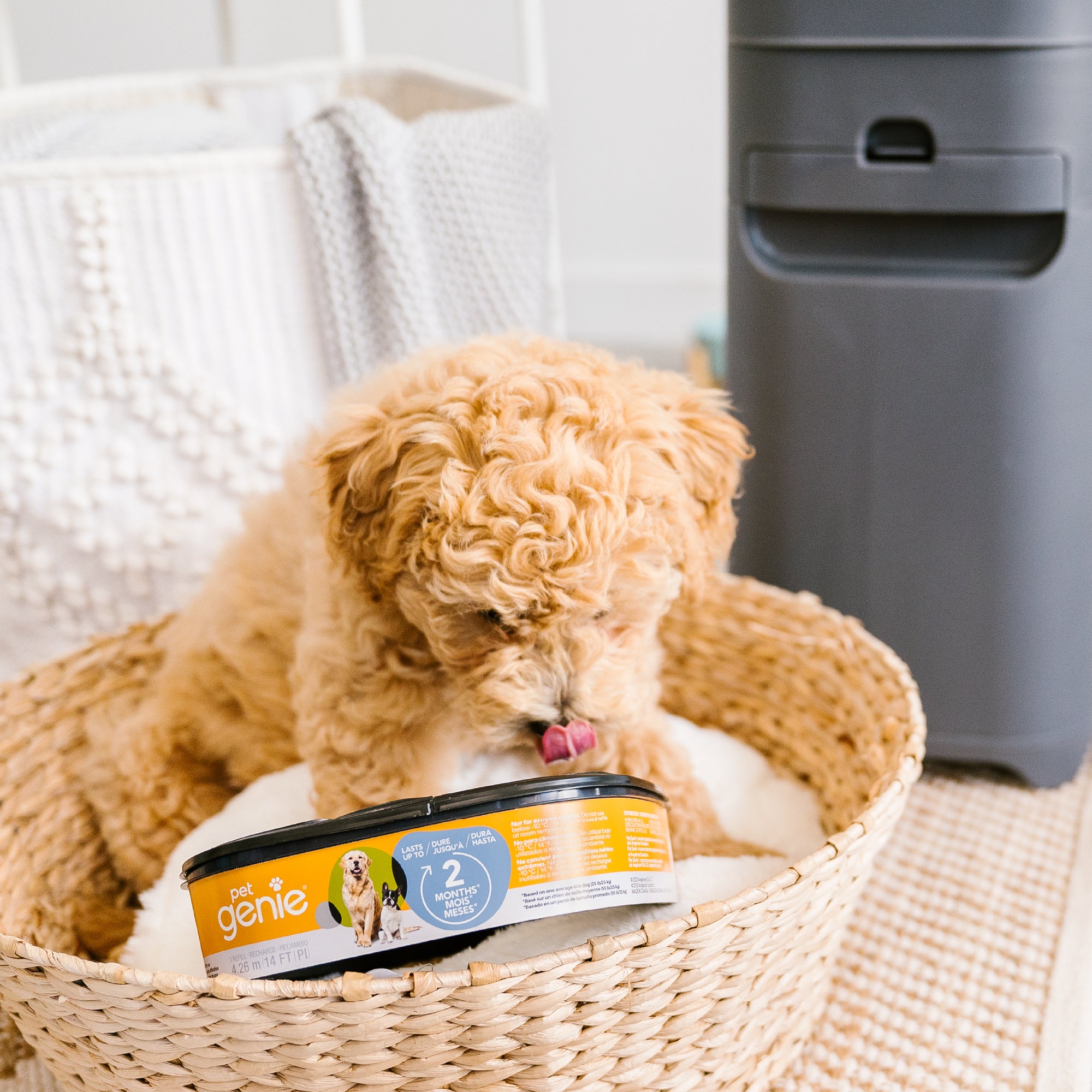 Pet Genie Refill Pet Genie Refill