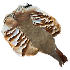 Partridge Pelt