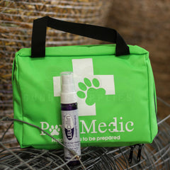 First Aid + Antiseptic #2