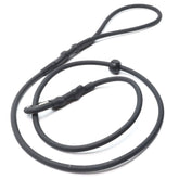 SGS Biothane Slip Lead (6mm)
