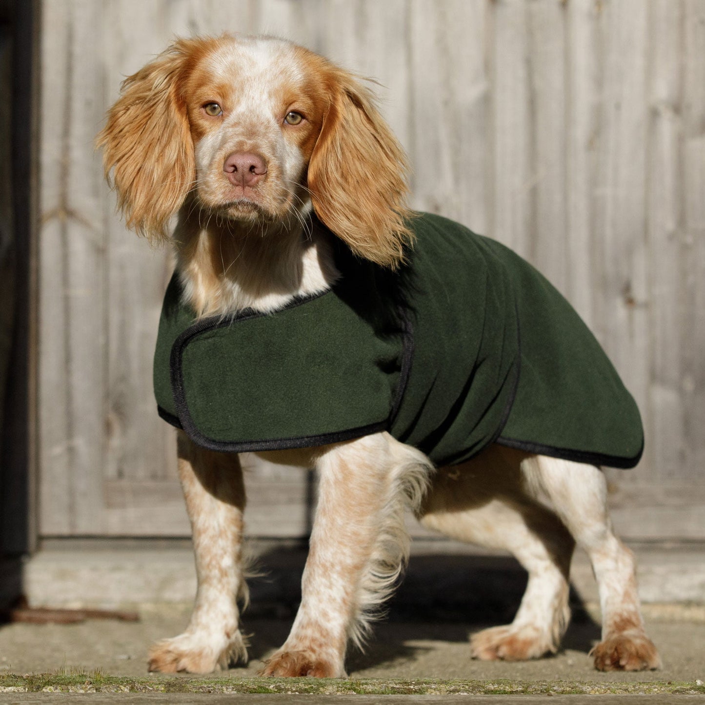 Dog & Field Dual Layer Drying Towel