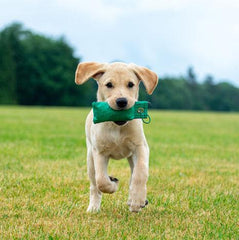 Sporting Saint Snipe Dummy