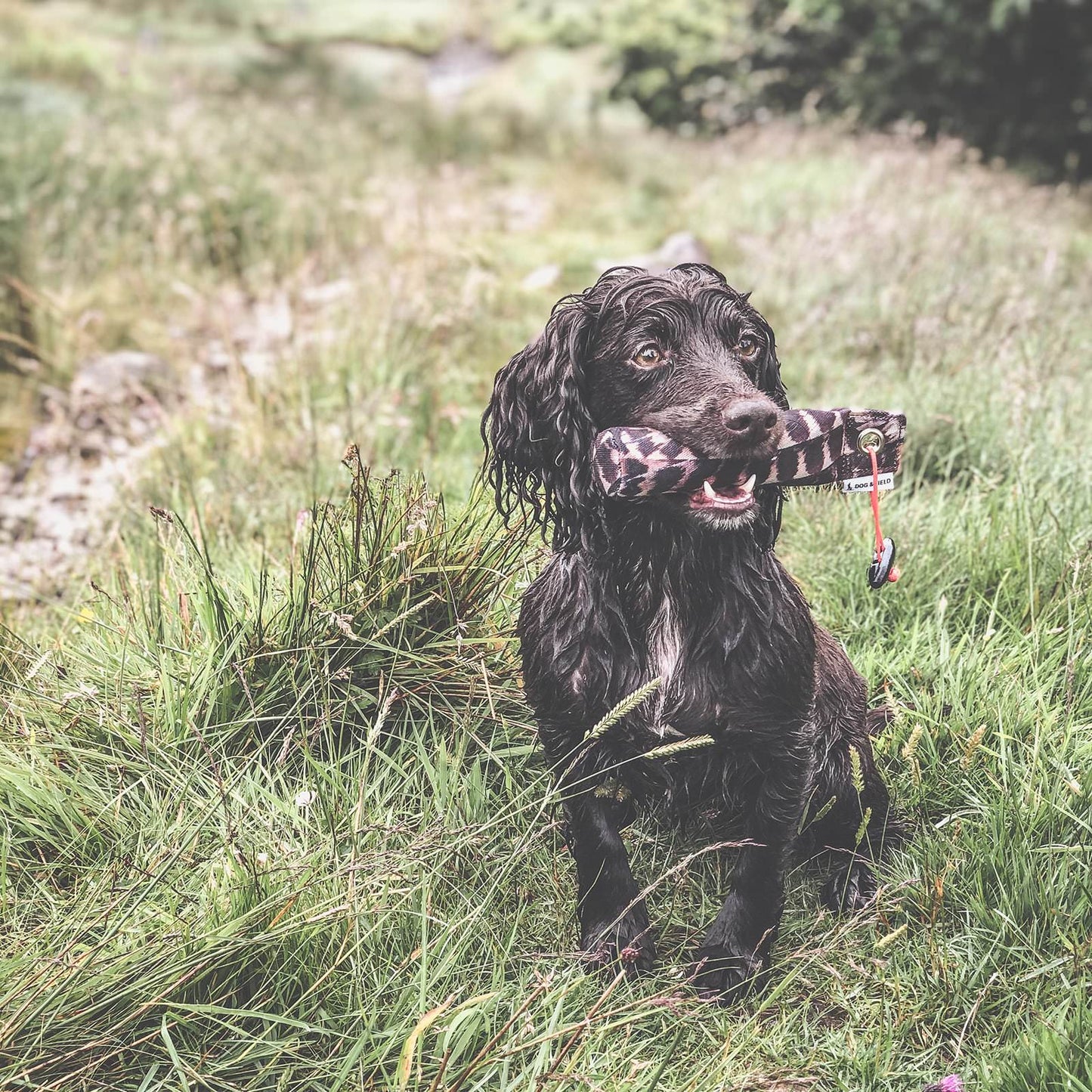 Dog & Field Snipe 100g Dummy