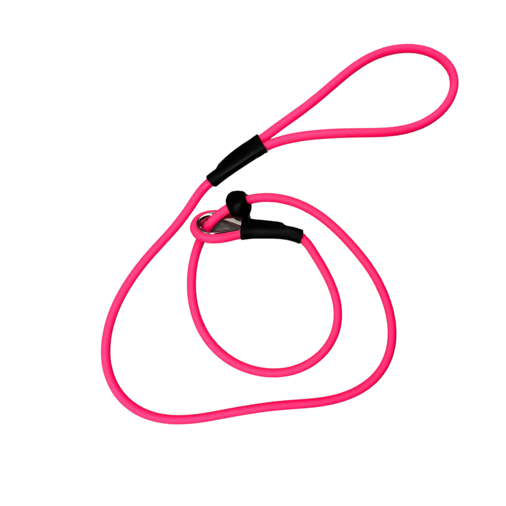 SGS Biothane Slip Lead (6mm)