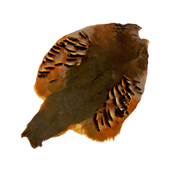 Partridge Pelt