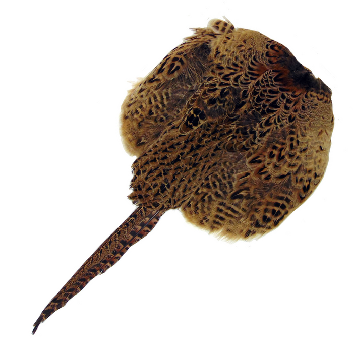 Hen Pheasant Pelt