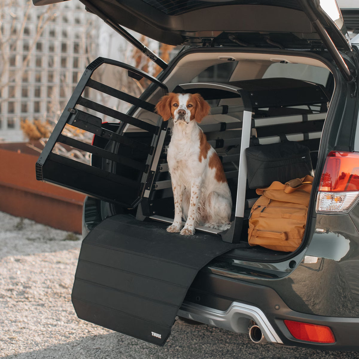 Thule Bumper Protector