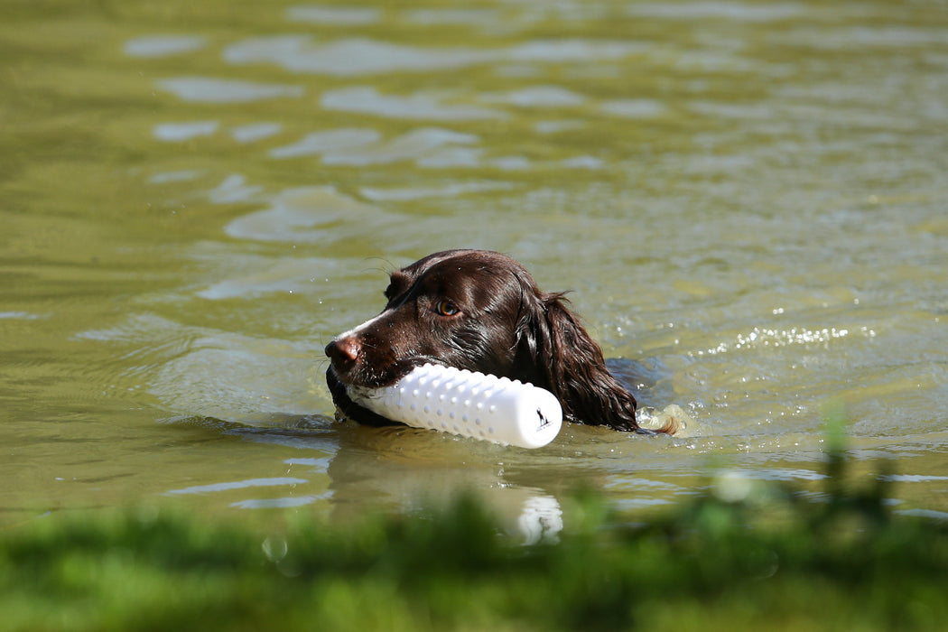 Dog & Field Water Dummy