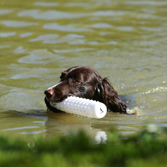 Dog & Field Water Dummy