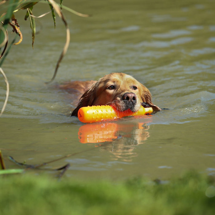 Dog & Field Water Dummy