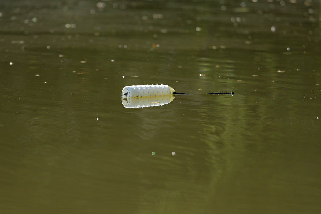 Dog & Field Water Dummy