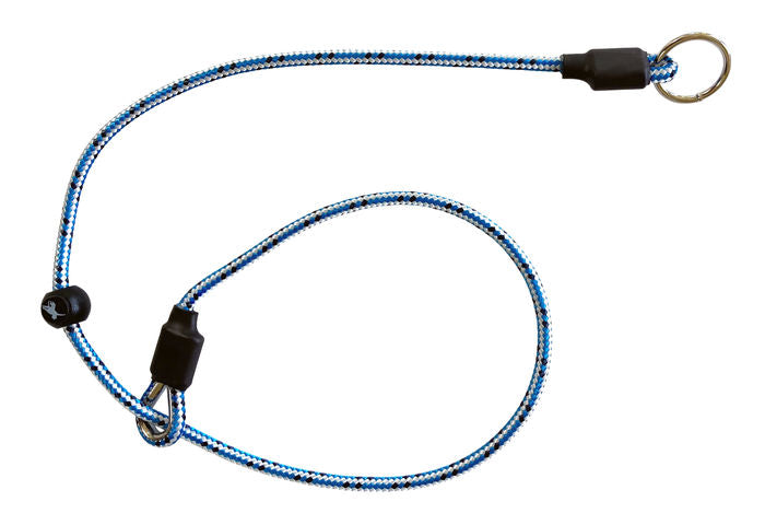Sporting Saint Field Trial PRO Slip Collar