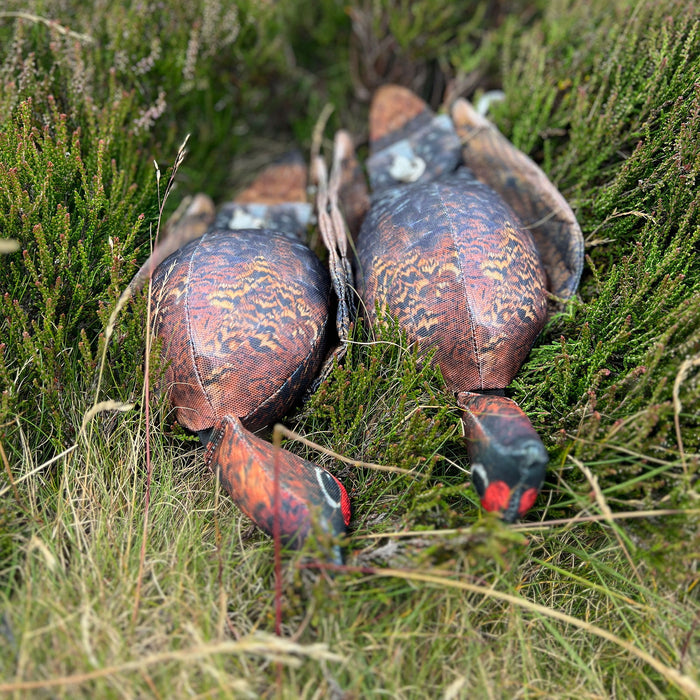 Dog & Field Grouse Clone Bird