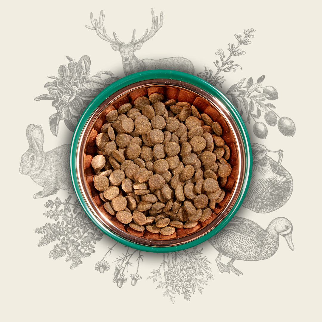 Eden 80/20 Country Cuisine 2kg Medium Kibble