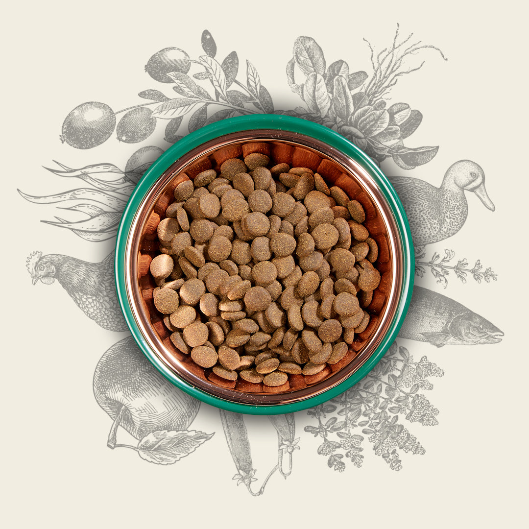 Eden 80/20 Original Cuisine 2kg Medium Kibble