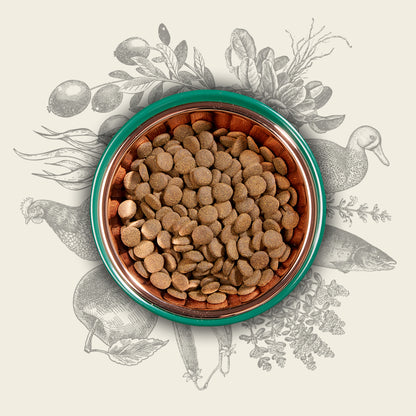 Eden 80/20 Original Cuisine 2kg Medium Kibble