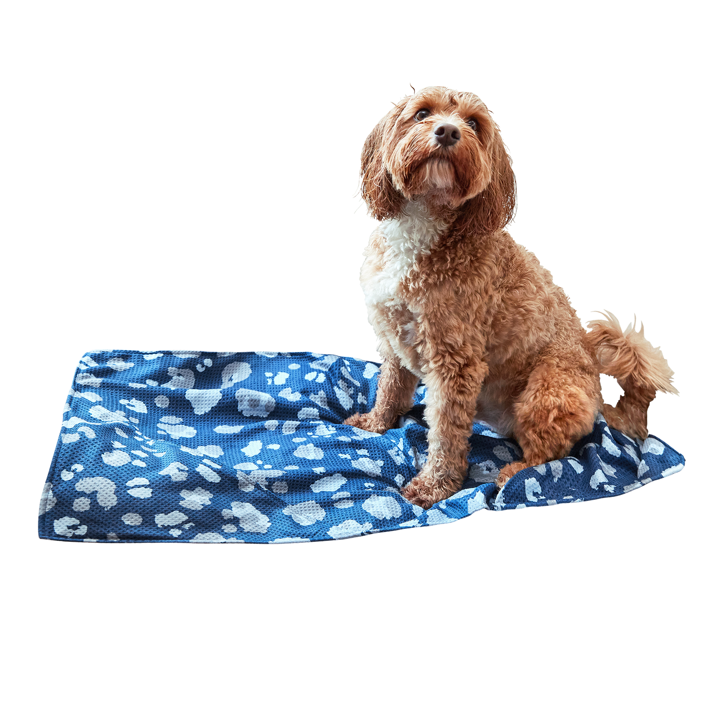 Dog & Bay Towel - K9 Camo