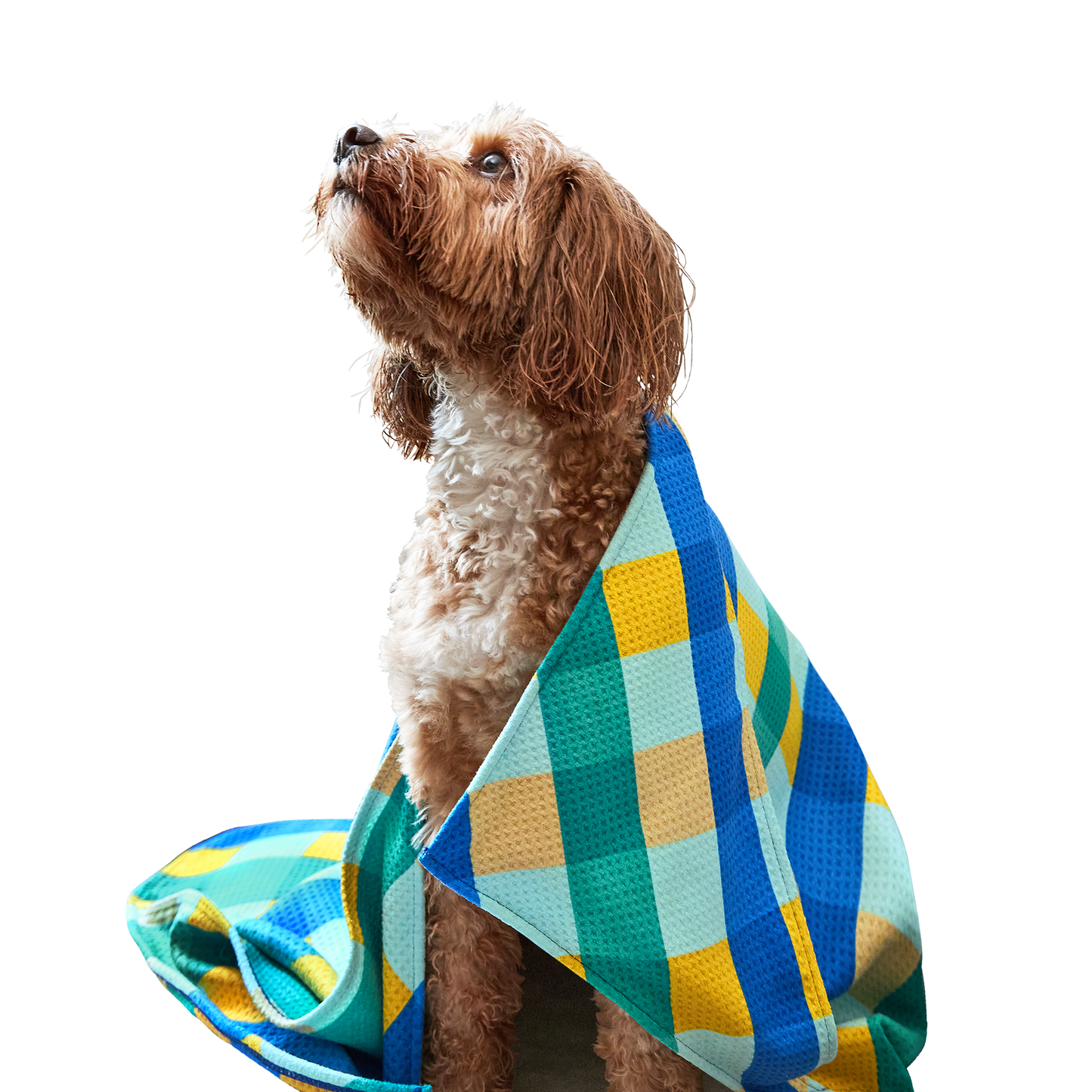 Dog & Bay Towel - Puppy Plaid