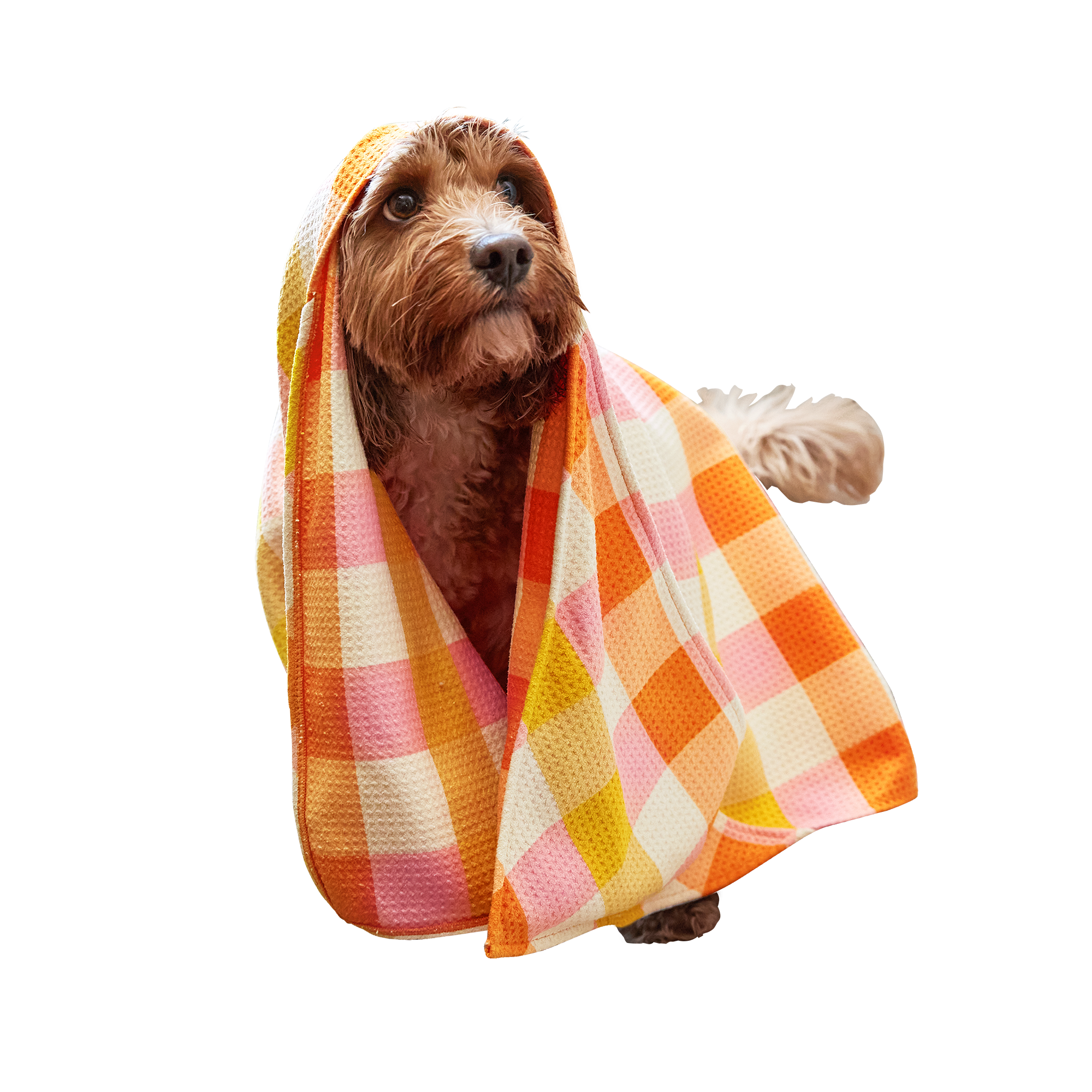 Dog & Bay Towel - Rhubark & Custard
