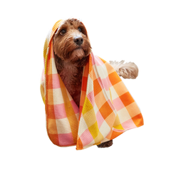 Dog & Bay Towel - Rhubark & Custard
