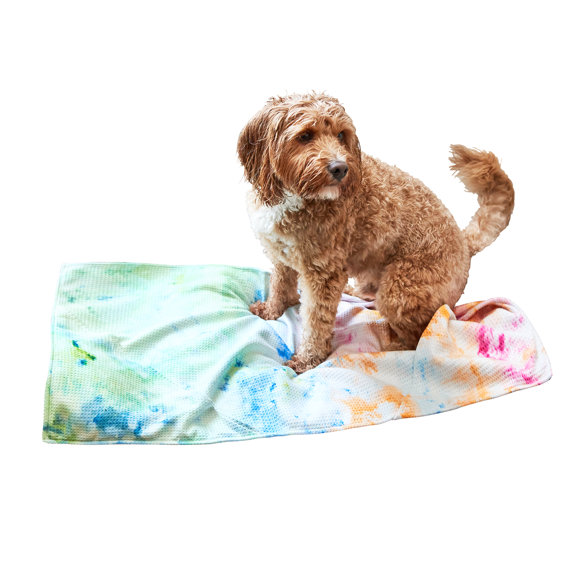 Dog & Bay Towel - Sunset Splash