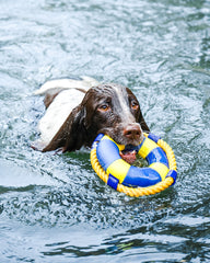 Diving Floating Toy