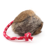 Long Throw Rabbit Ball