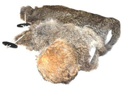 Dog & Field Rabbit Fur Dummy