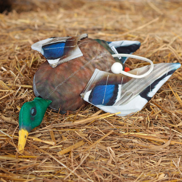 Dog & Field Mallard Clone Bird