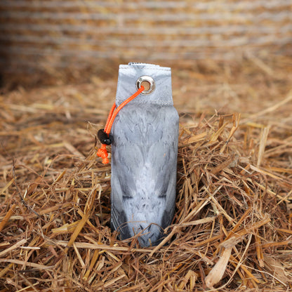 Dog & Field Pigeon 1/2lb Dummy