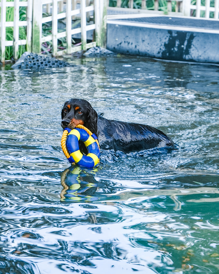 Diving Floating Toy