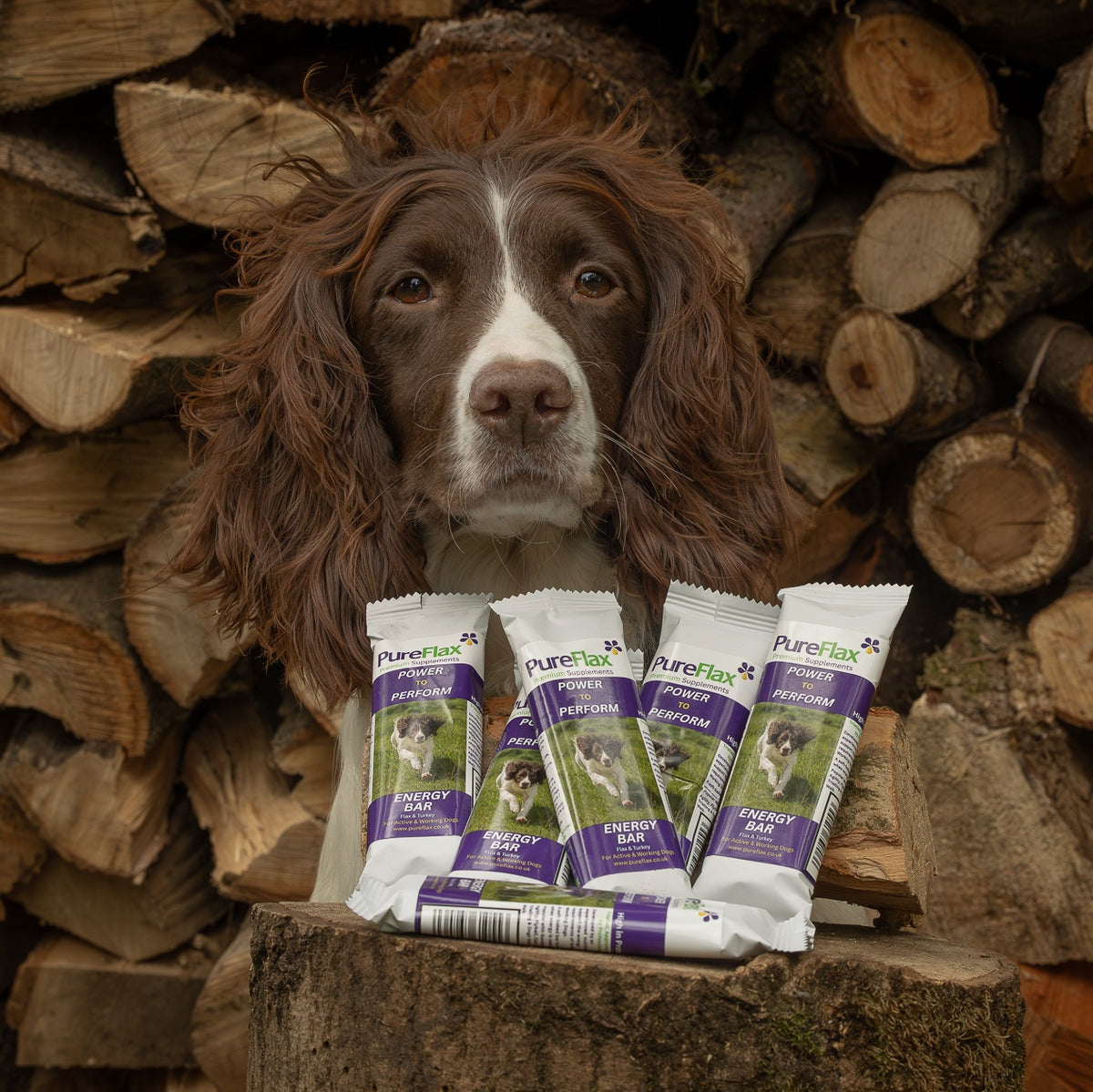 PureFlax Energy Bars