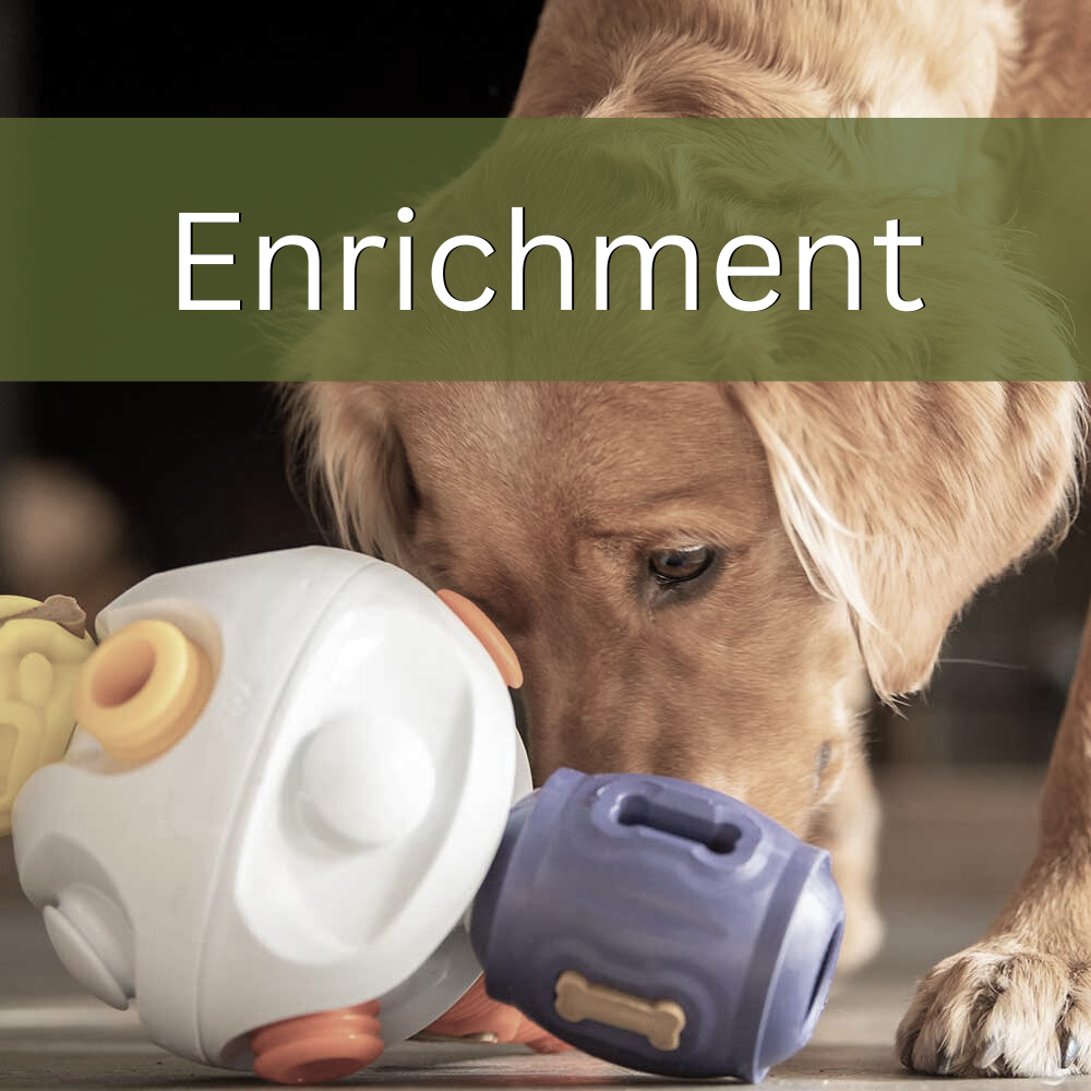 Enrichment