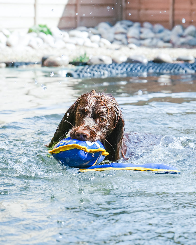 Nautical Floating Toy