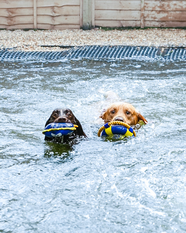 Diving Floating Toy