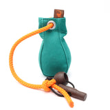 Firedog Throwing Ball