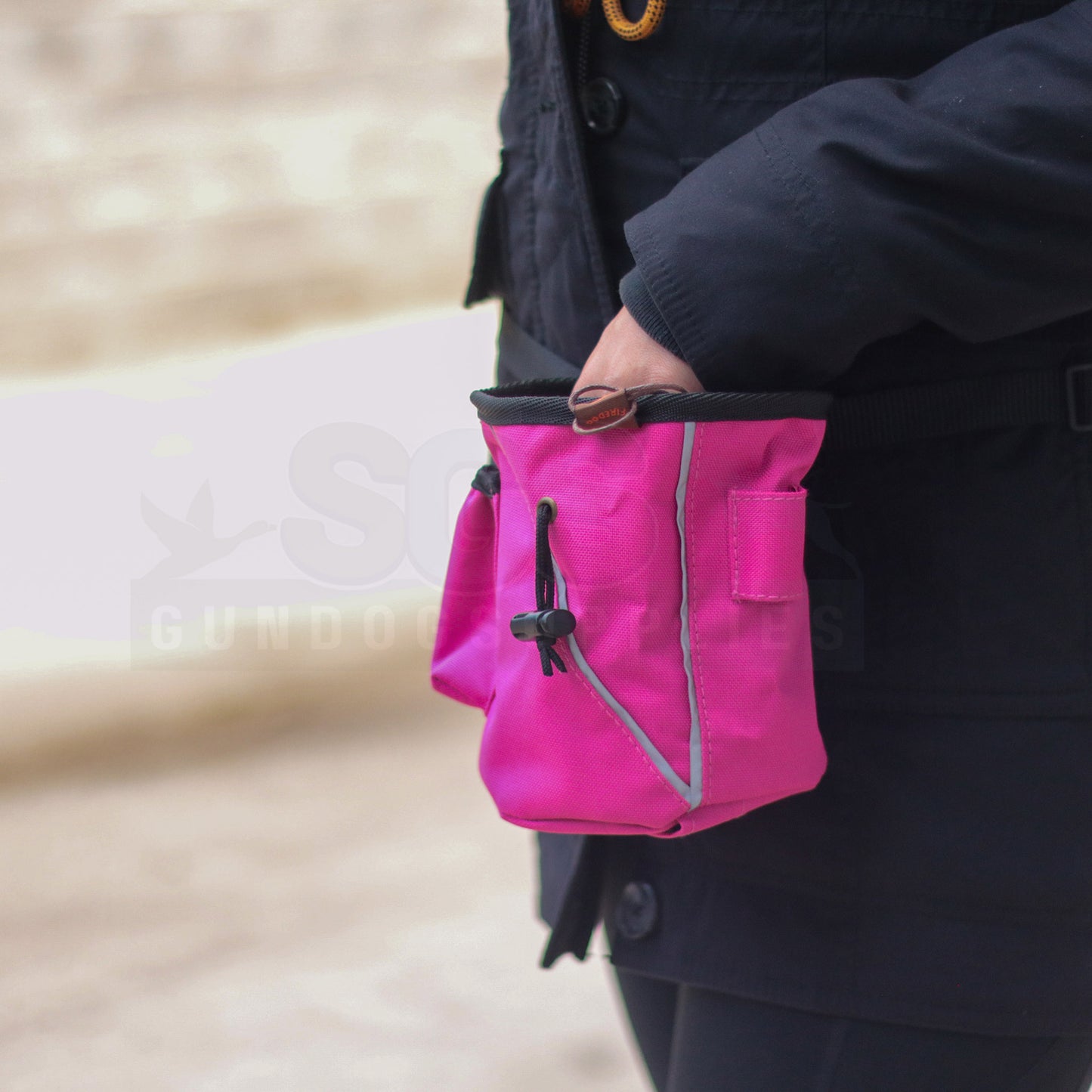 Firedog Large Treat Bag