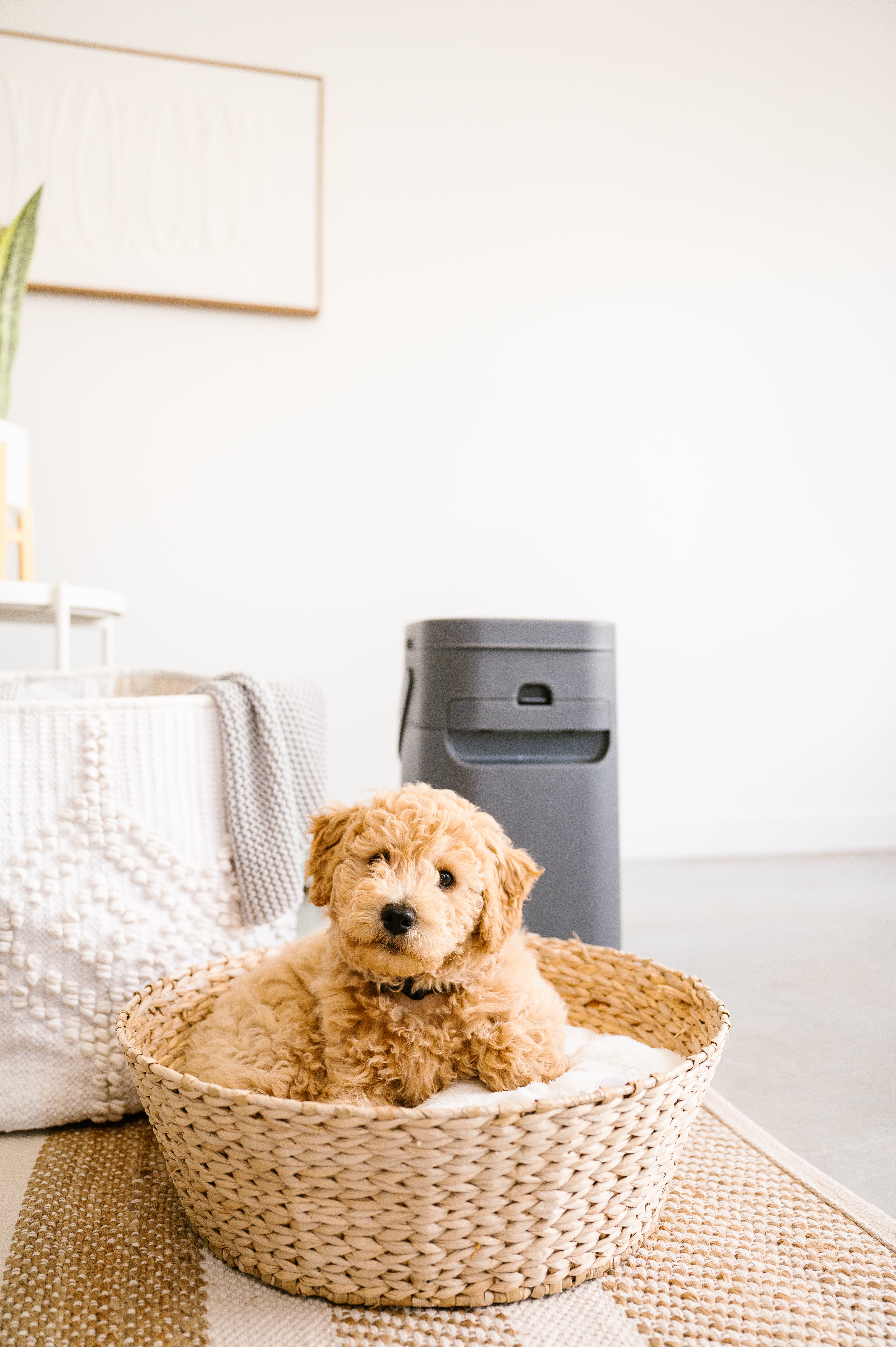 Pet Genie Dog Waste Disposal System