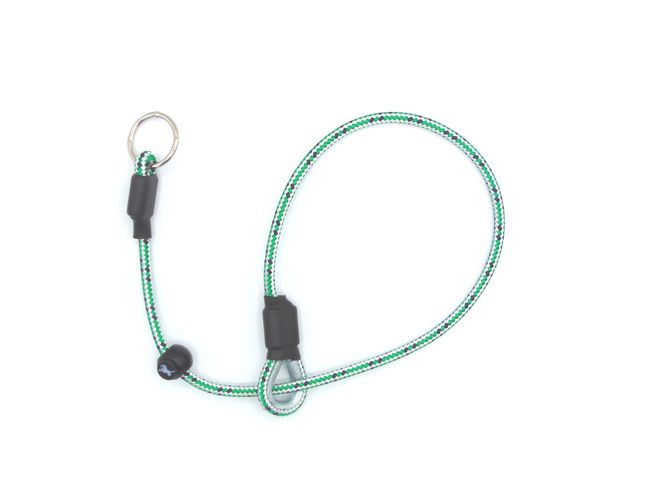 Sporting Saint Field Trial PRO Slip Collar