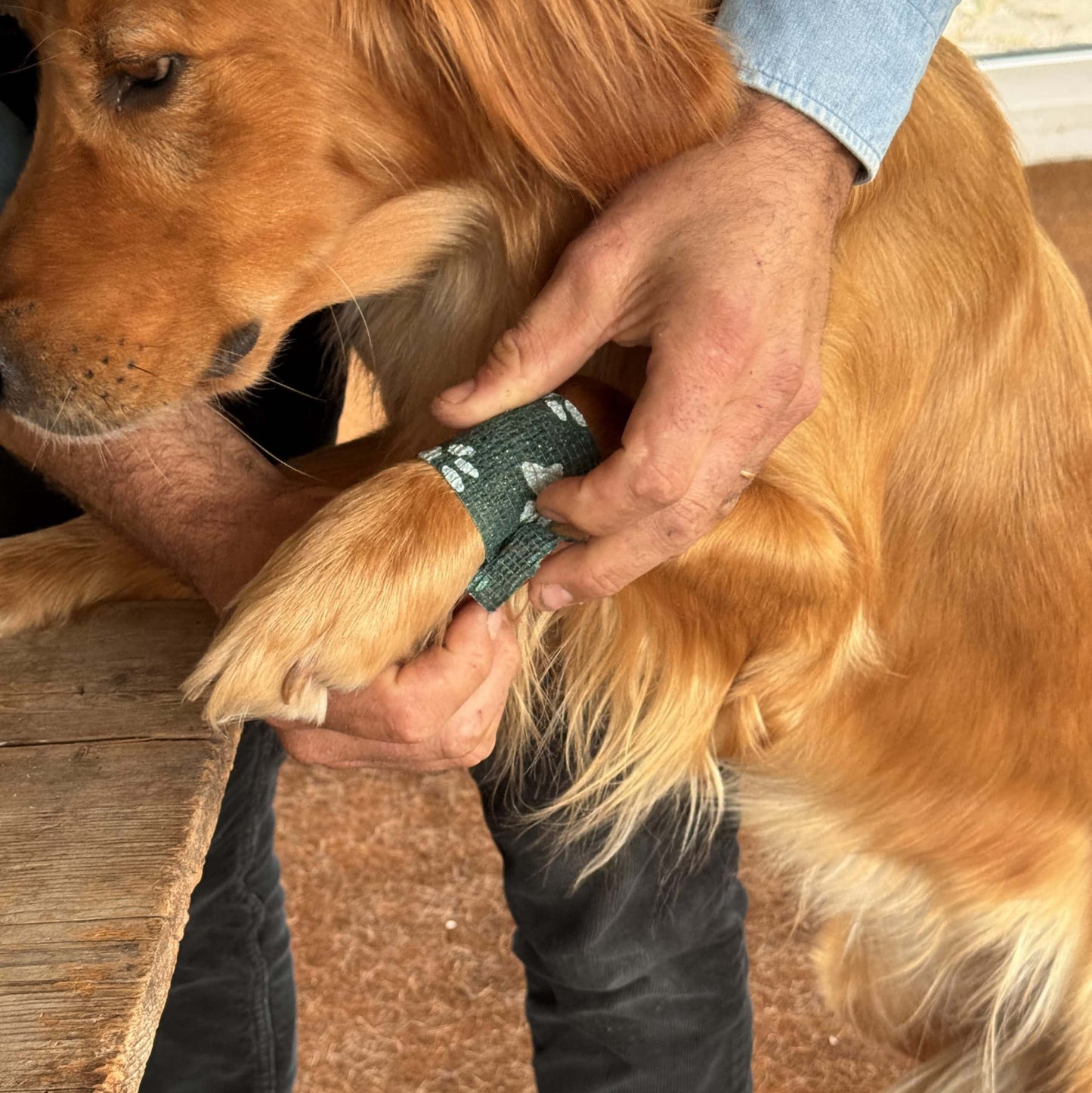James & Ella Pet First Aid Kit